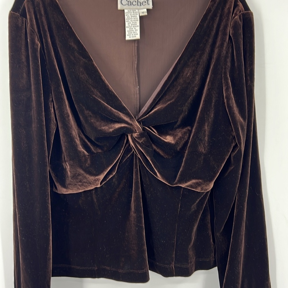 Cache Velvet Brown Babydoll Beaded Sleeves Cropped Pullover Top SZ 10